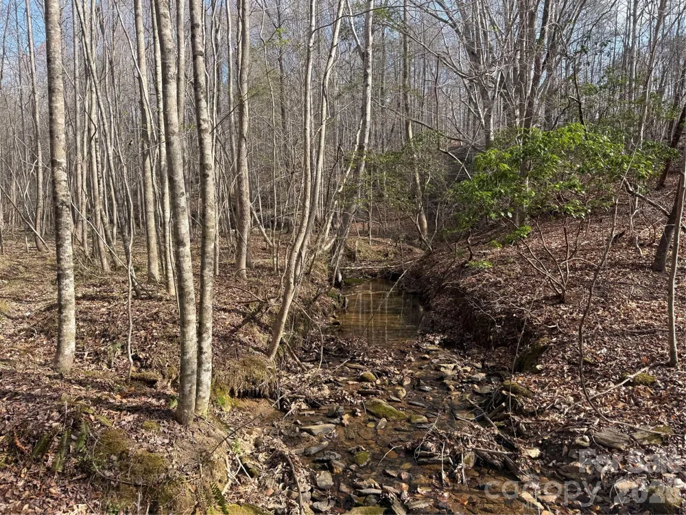 1164 Robert C Kellam Road Pinnacle, NC 27043