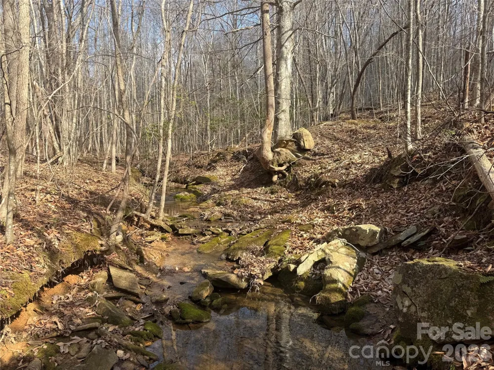 1164 Robert C Kellam Road Pinnacle, NC 27043