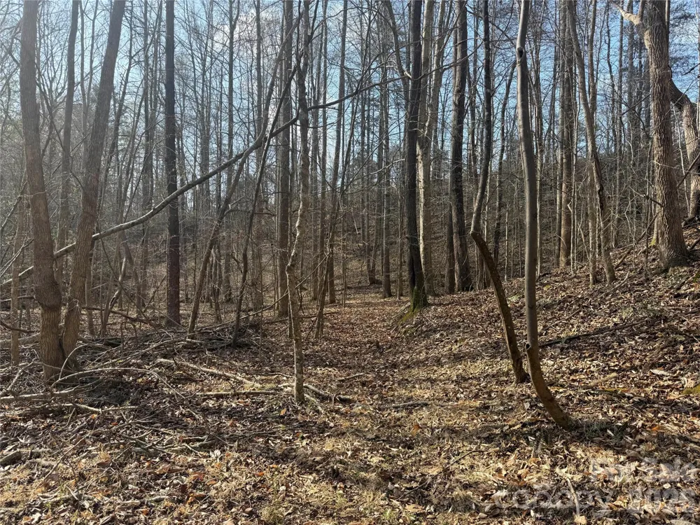 1164 Robert C Kellam Road Pinnacle, NC 27043