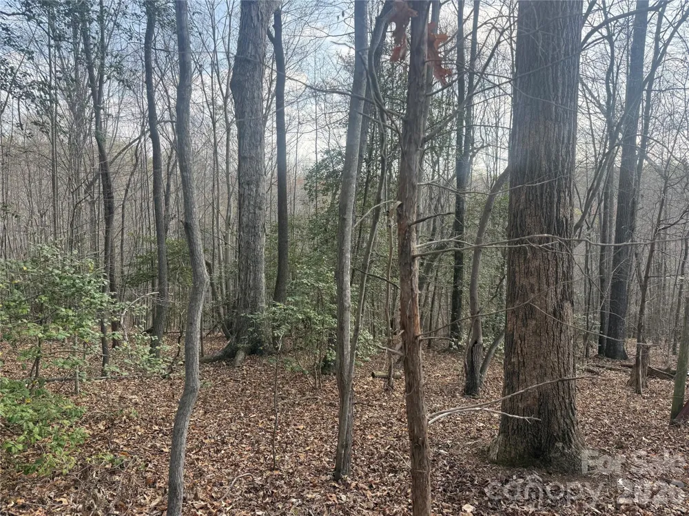 1164 Robert C Kellam Road Pinnacle, NC 27043