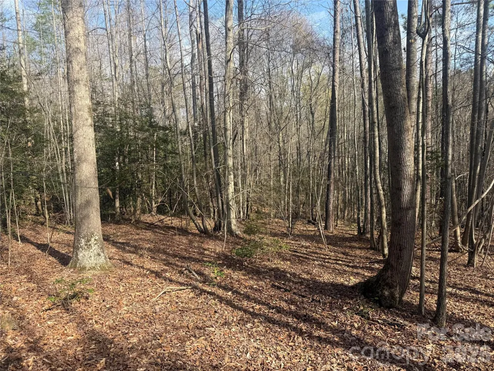 1164 Robert C Kellam Road Pinnacle, NC 27043