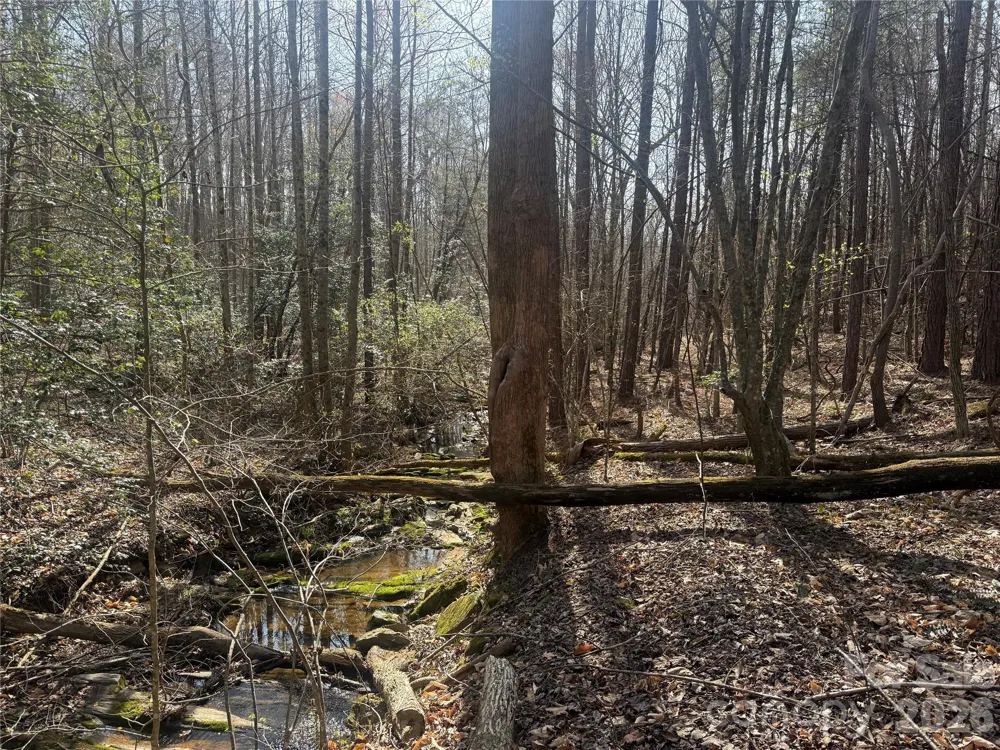 1164 Robert C Kellam Road Pinnacle, NC 27043