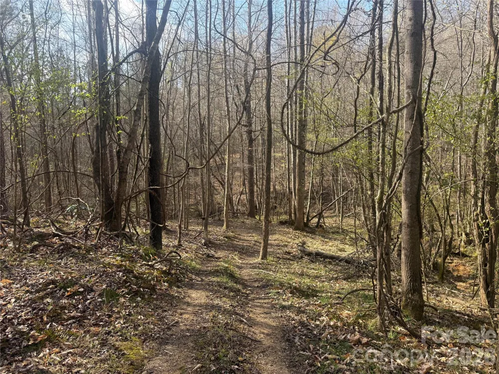 1164 Robert C Kellam Road Pinnacle, NC 27043