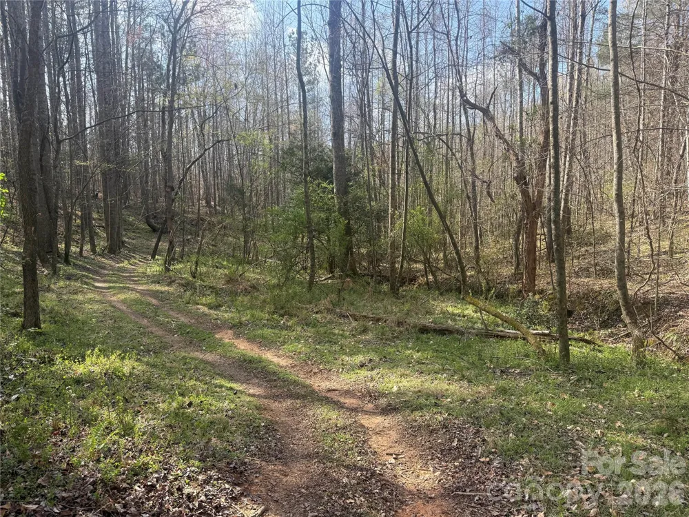 1164 Robert C Kellam Road Pinnacle, NC 27043