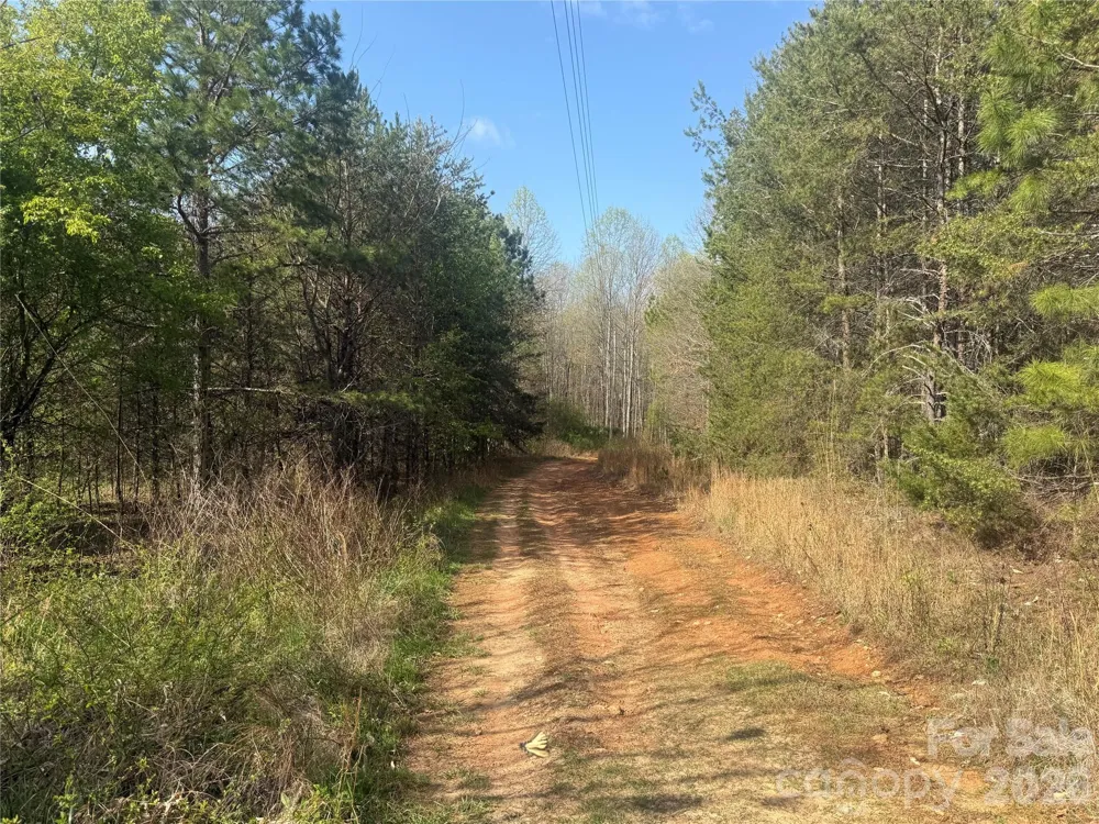 1164 Robert C Kellam Road Pinnacle, NC 27043