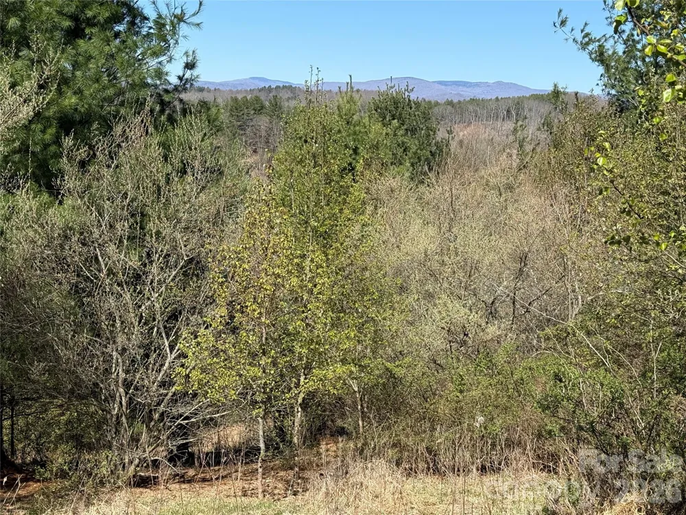 TBD (Lot 21 & 22) Martha Lane #21 & 22 Piney Creek, NC 28663