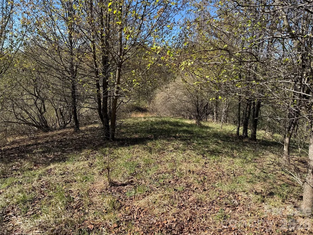 TBD (Lot 21 & 22) Martha Lane #21 & 22 Piney Creek, NC 28663