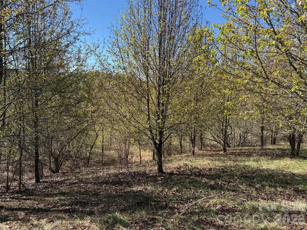 TBD (Lot 21 & 22) Martha Lane #21 & 22 Piney Creek, NC 28663