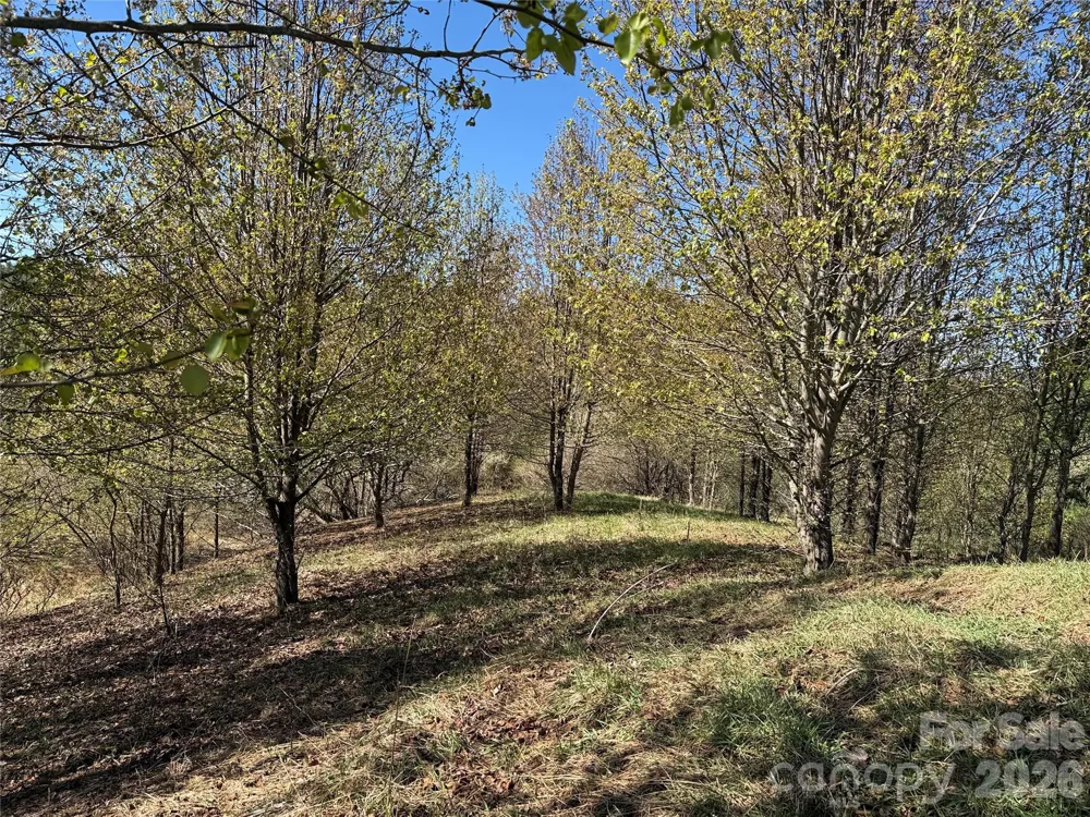 TBD (Lot 21 & 22) Martha Lane #21 & 22 Piney Creek, NC 28663
