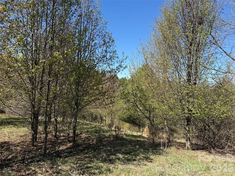 TBD (Lot 21 & 22) Martha Lane #21 & 22 Piney Creek, NC 28663