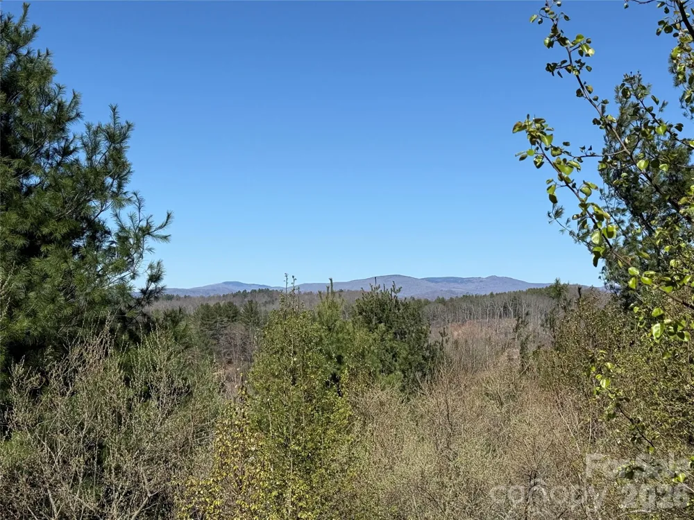 TBD (Lot 21 & 22) Martha Lane #21 & 22 Piney Creek, NC 28663