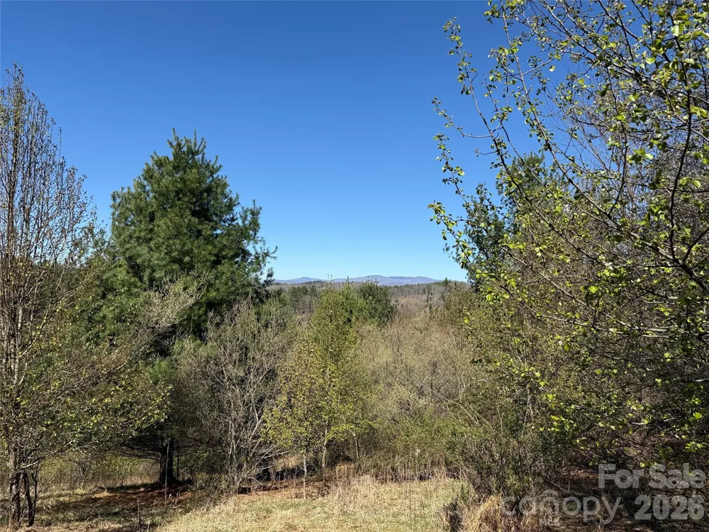 TBD (Lot 21 & 22) Martha Lane #21 & 22 Piney Creek, NC 28663