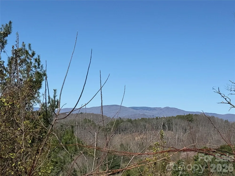 TBD (Lot 21 & 22) Martha Lane #21 & 22 Piney Creek, NC 28663