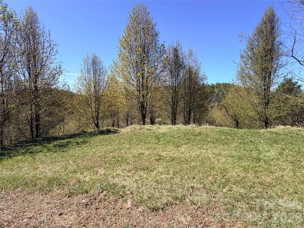 TBD (Lot 21 & 22) Martha Lane #21 & 22 Piney Creek, NC 28663