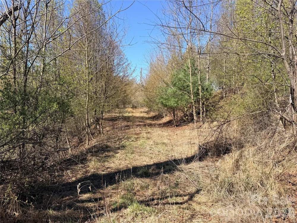 TBD (Lot 21 & 22) Martha Lane #21 & 22 Piney Creek, NC 28663