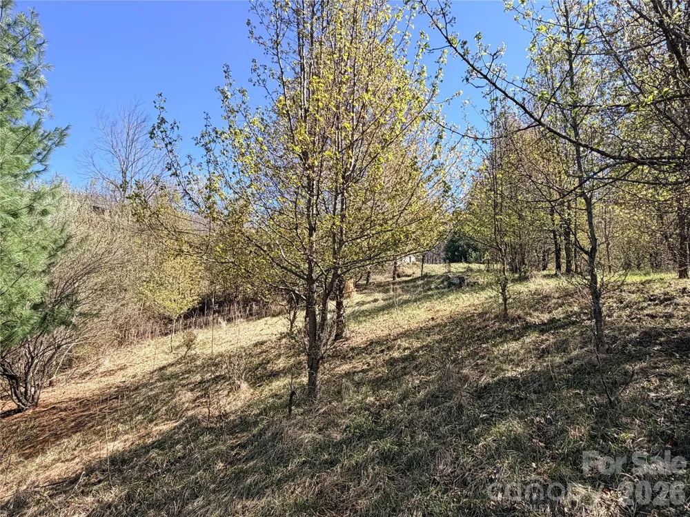 TBD (Lot 21 & 22) Martha Lane #21 & 22 Piney Creek, NC 28663