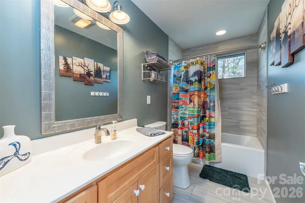 171 Wilson Court Lake Lure, NC 28746