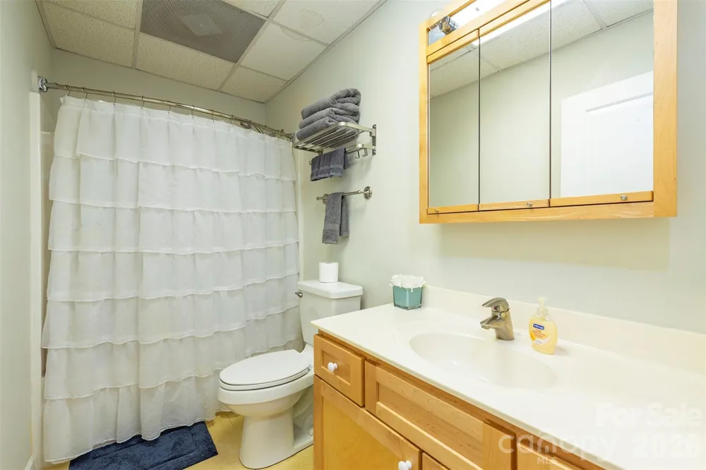 171 Wilson Court Lake Lure, NC 28746