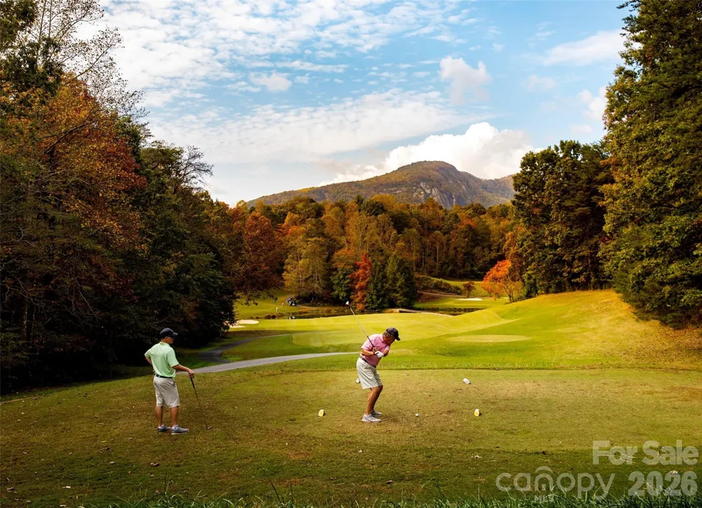 171 Wilson Court Lake Lure, NC 28746