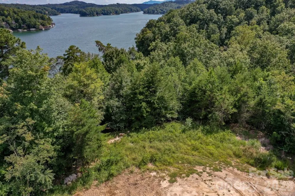 000 Holmstead Drive Lake Lure, NC 28746