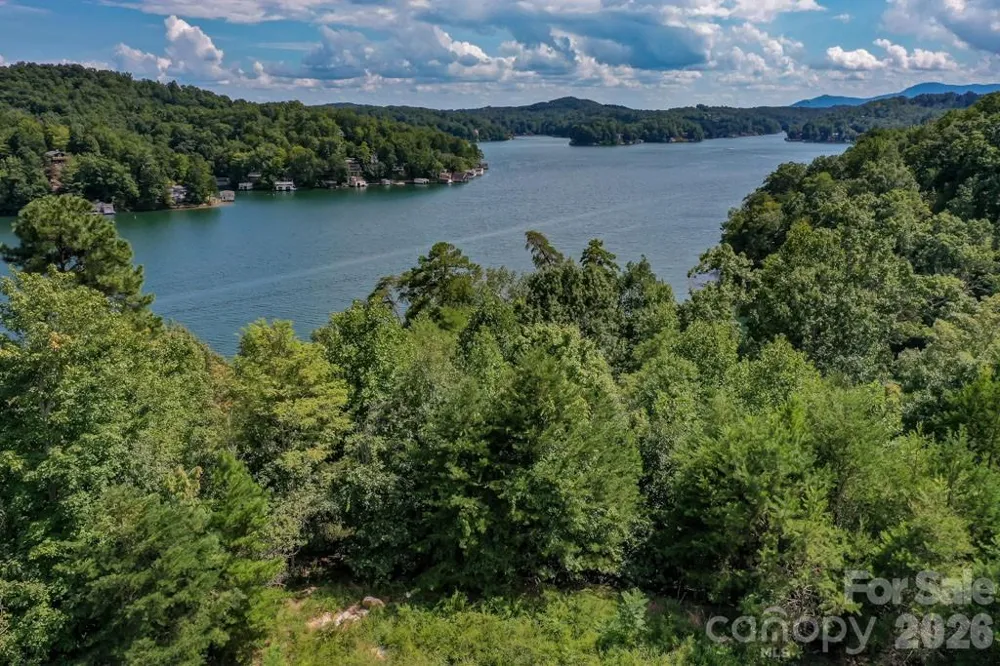 000 Holmstead Drive Lake Lure, NC 28746