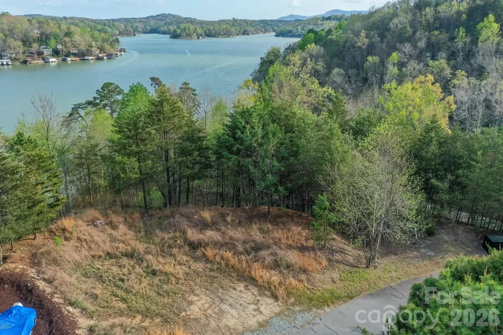 000 Holmstead Drive Lake Lure, NC 28746
