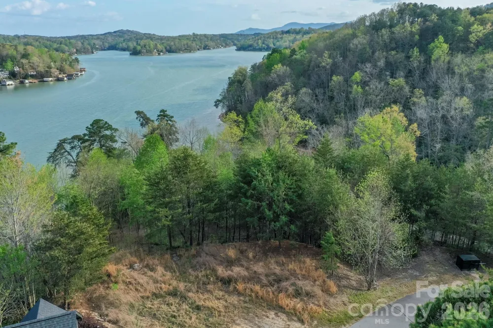 000 Holmstead Drive Lake Lure, NC 28746