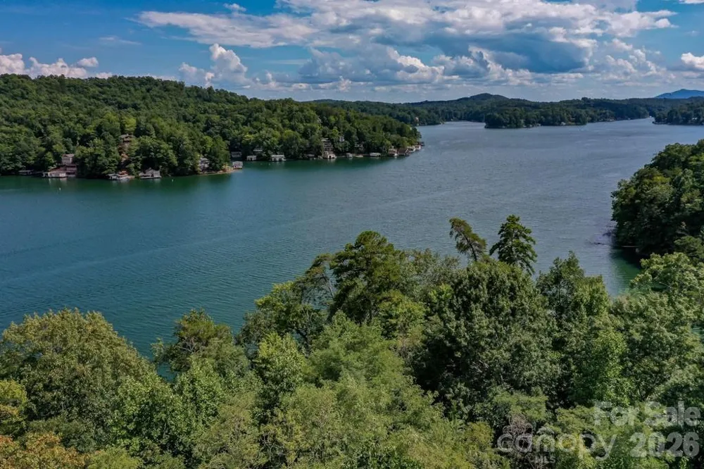 000 Holmstead Drive Lake Lure, NC 28746