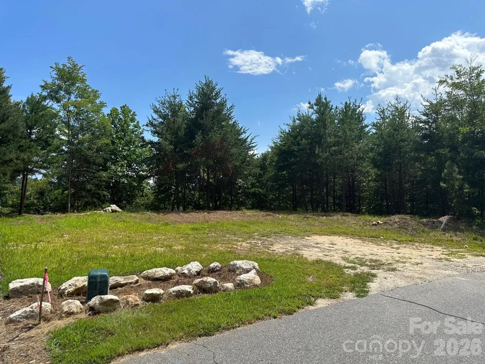 000 Holmstead Drive Lake Lure, NC 28746