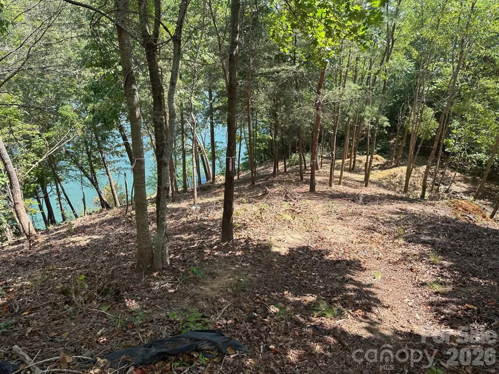 000 Holmstead Drive Lake Lure, NC 28746