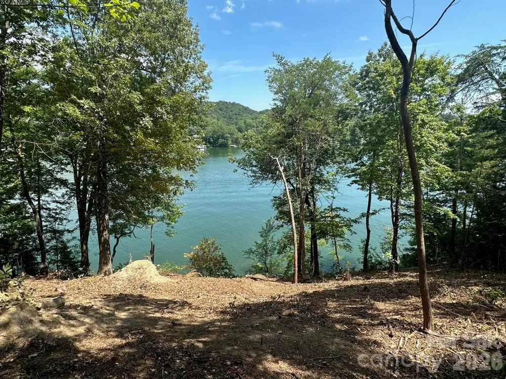 000 Holmstead Drive Lake Lure, NC 28746