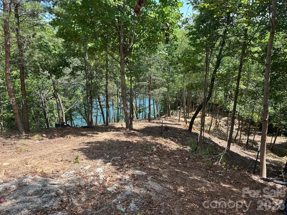 000 Holmstead Drive Lake Lure, NC 28746