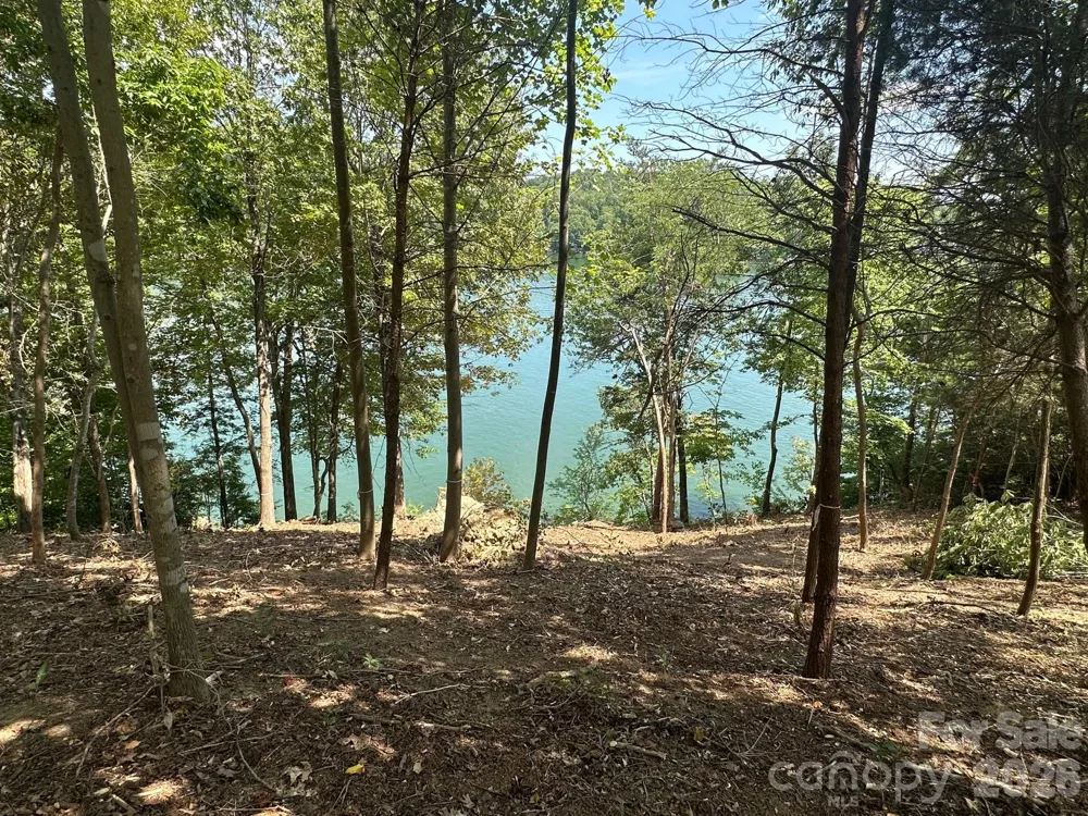 000 Holmstead Drive Lake Lure, NC 28746
