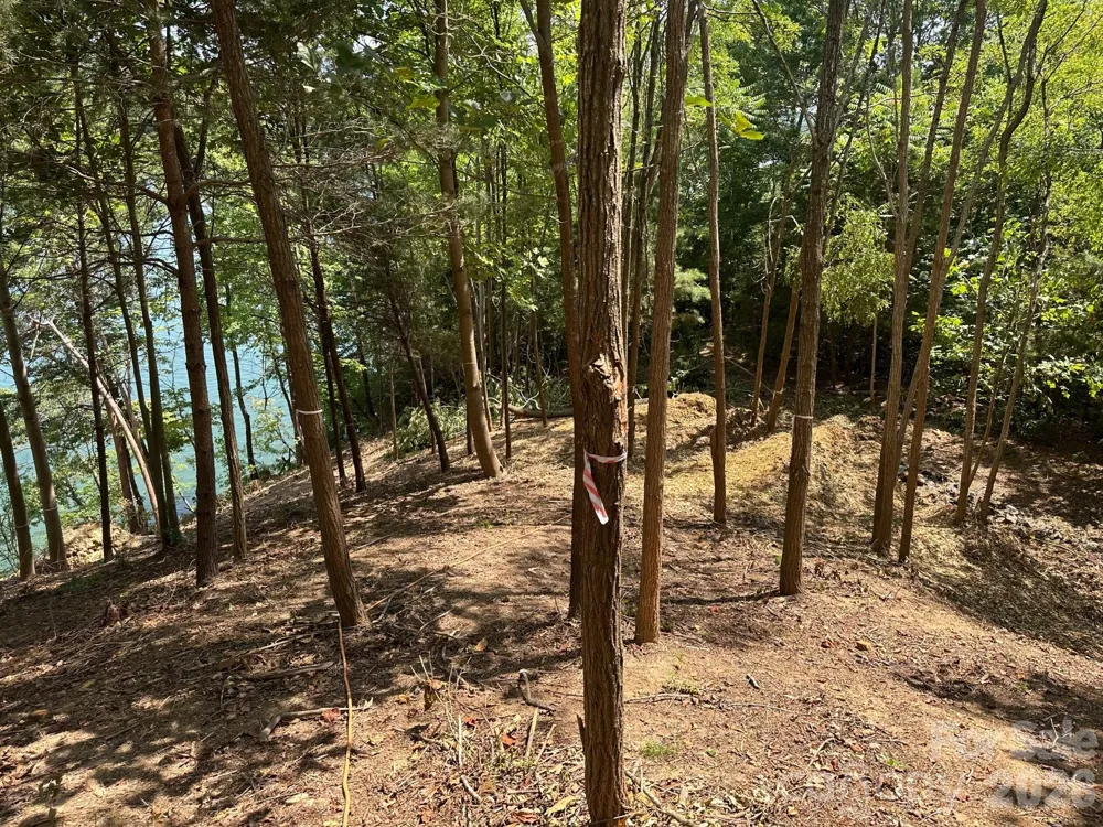000 Holmstead Drive Lake Lure, NC 28746
