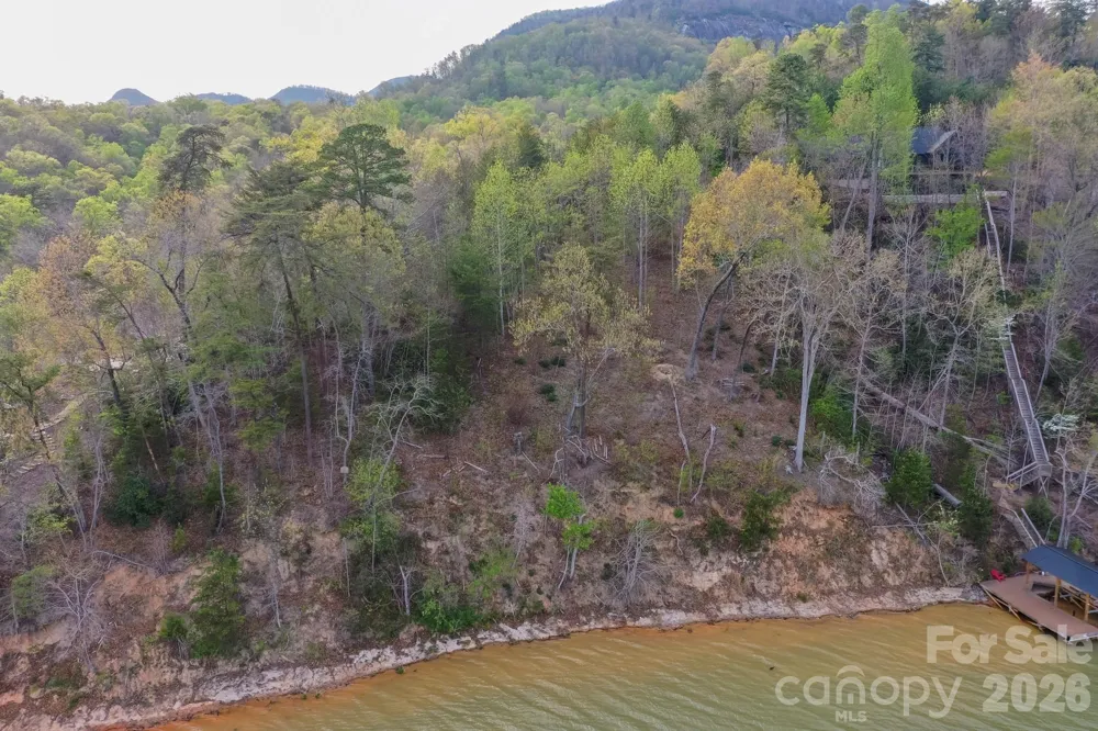 000 Holmstead Drive Lake Lure, NC 28746