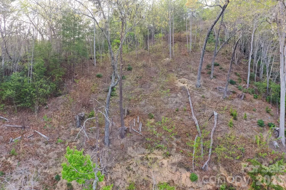 000 Holmstead Drive Lake Lure, NC 28746