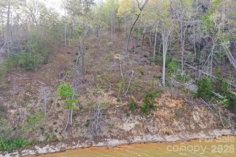 000 Holmstead Drive Lake Lure, NC 28746