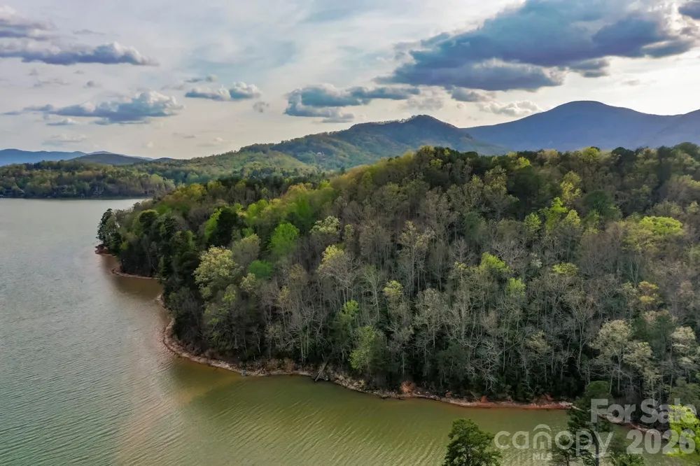 000 Holmstead Drive Lake Lure, NC 28746