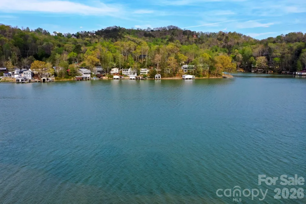 000 Holmstead Drive Lake Lure, NC 28746