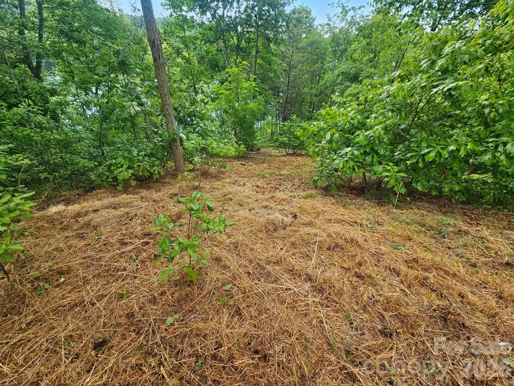 000 Holmstead Drive Lake Lure, NC 28746