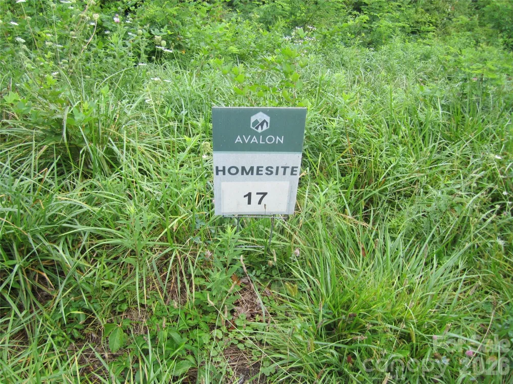 000 Signature Row Boulevard #Lot 17 Waynesville, NC 28785