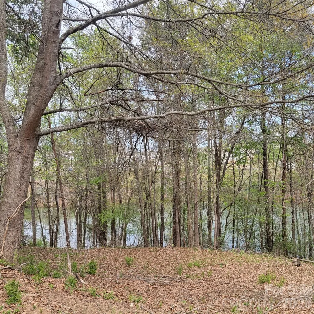 230 Walnut Street Belmont, NC 28012