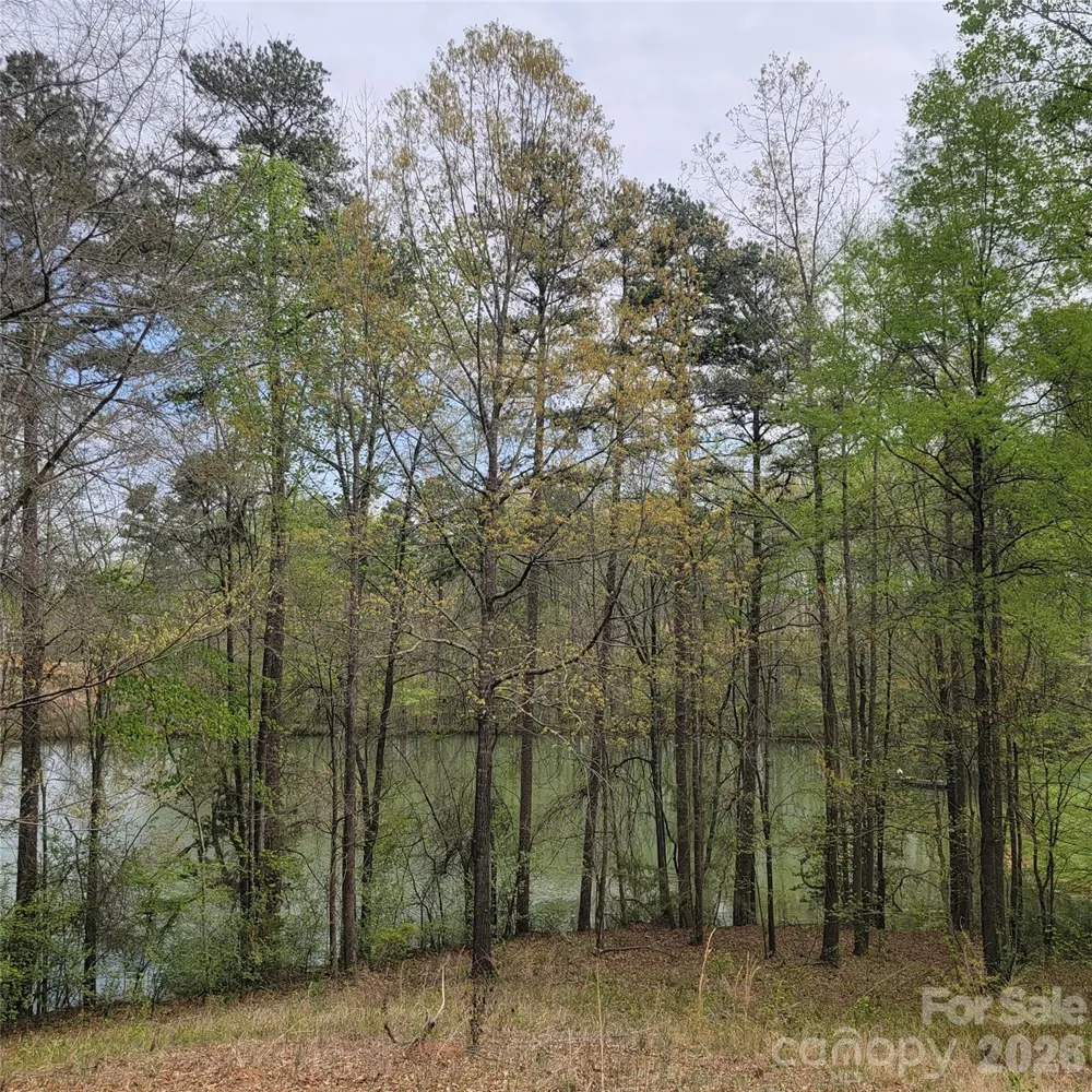 230 Walnut Street Belmont, NC 28012