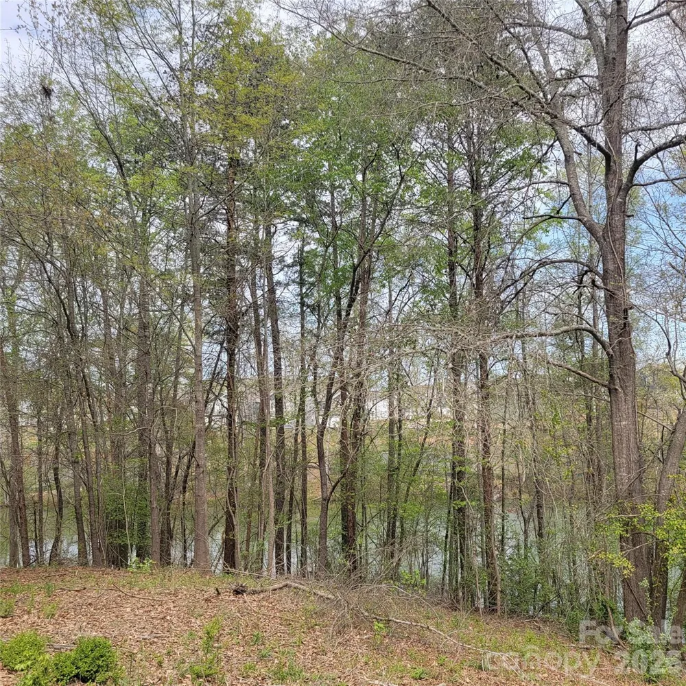 230 Walnut Street Belmont, NC 28012