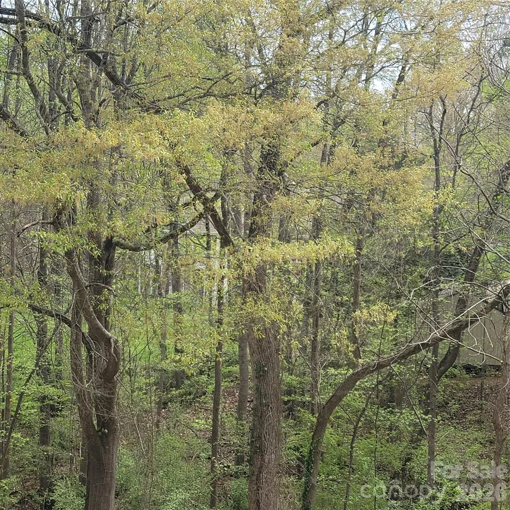 230 Walnut Street Belmont, NC 28012