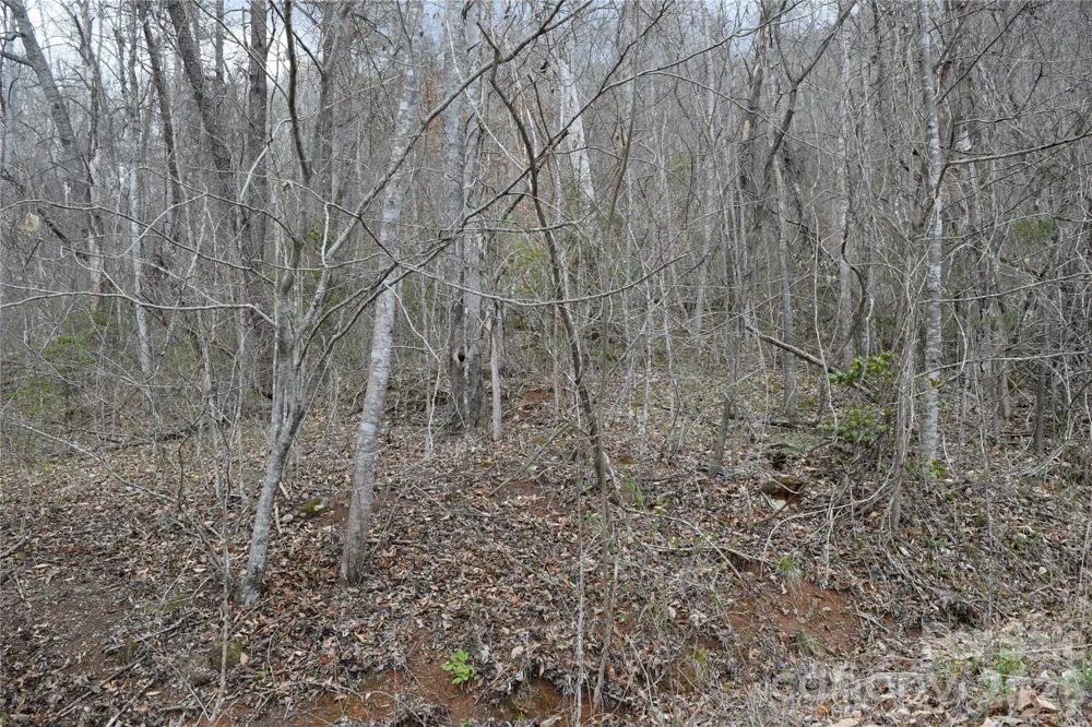 TBD Bel Air Road #18-19, 21, 23,27-28,31-33 Cullowhee, NC 28723