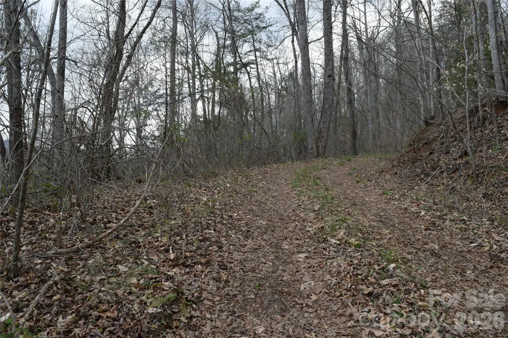 TBD Bel Air Road #18-19, 21, 23,27-28,31-33 Cullowhee, NC 28723