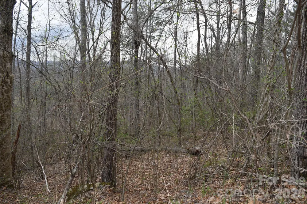 TBD Bel Air Road #18-19, 21, 23,27-28,31-33 Cullowhee, NC 28723