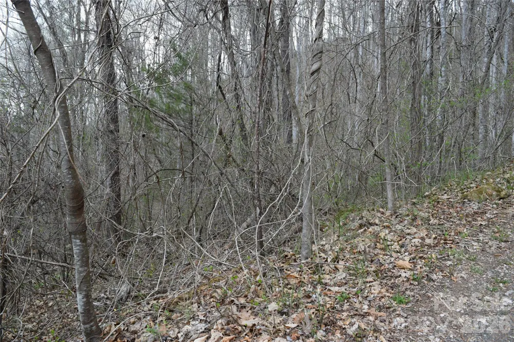 TBD Bel Air Road #18-19, 21, 23,27-28,31-33 Cullowhee, NC 28723