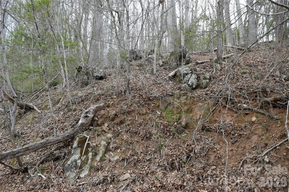 TBD Bel Air Road #18-19, 21, 23,27-28,31-33 Cullowhee, NC 28723